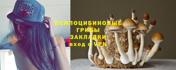 дурь Алзамай