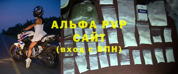 стафф Алексин