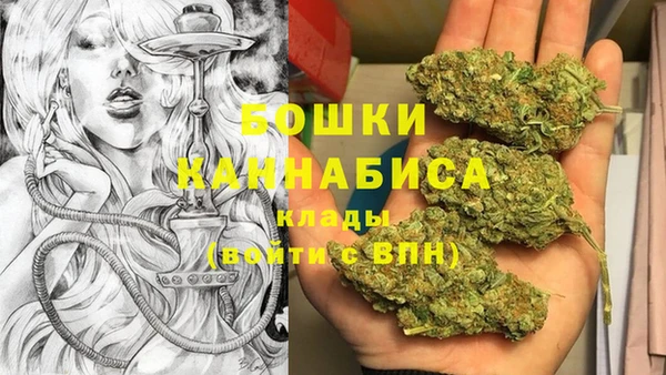 apvp Горняк