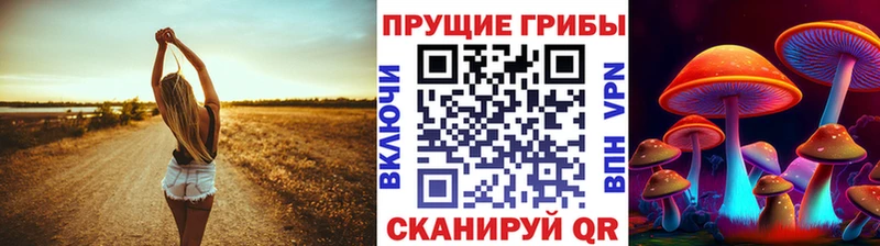 Псилоцибиновые грибы Cubensis  Арзамас 